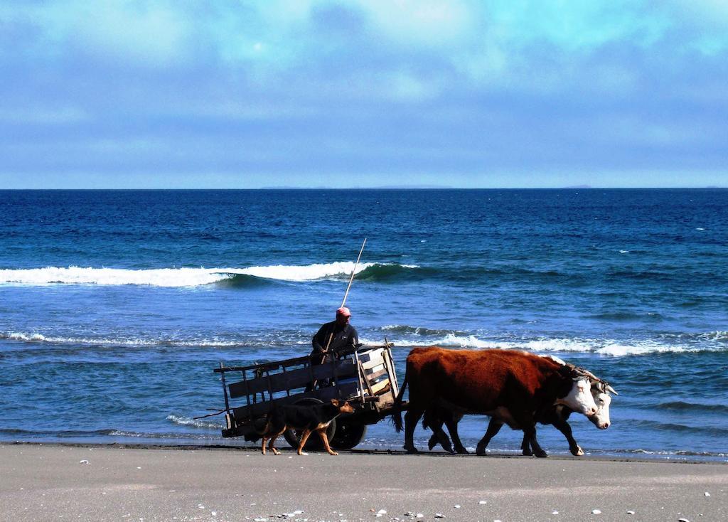 Punta Piedras Lodge & Marina Puerto Montt Dış mekan fotoğraf
